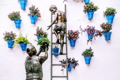 Patios - Córdoba (Spain)
