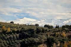 Sierra Huétor Santillán - Viznar (Granada - Spain)