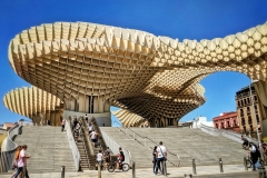 Mushrooms - Sevilla (Spain)
