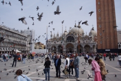 Piazza San Marcos - Venezia (Italy)